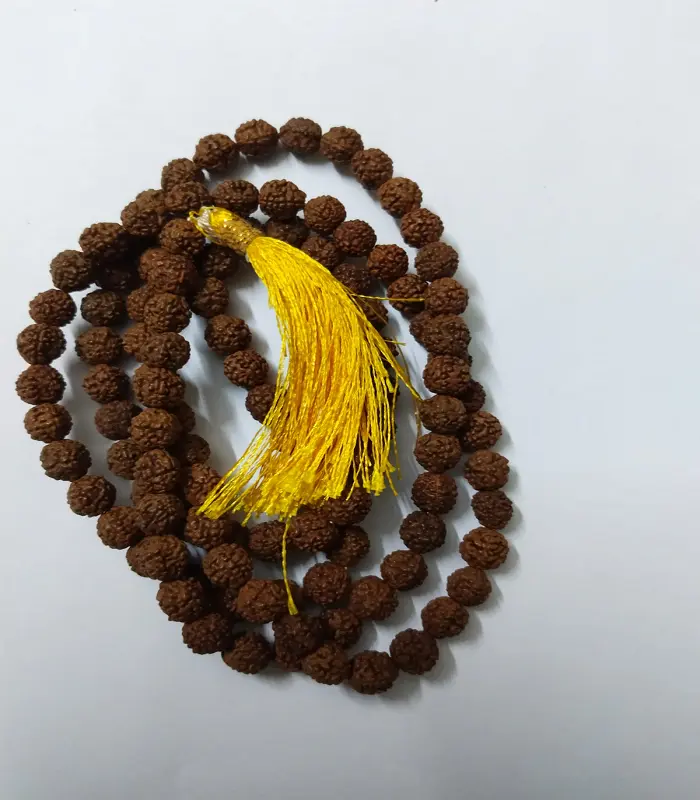 ருத்ராக்ஷம் – சிவ பக்தர்களின் பவித்ர பொருள்